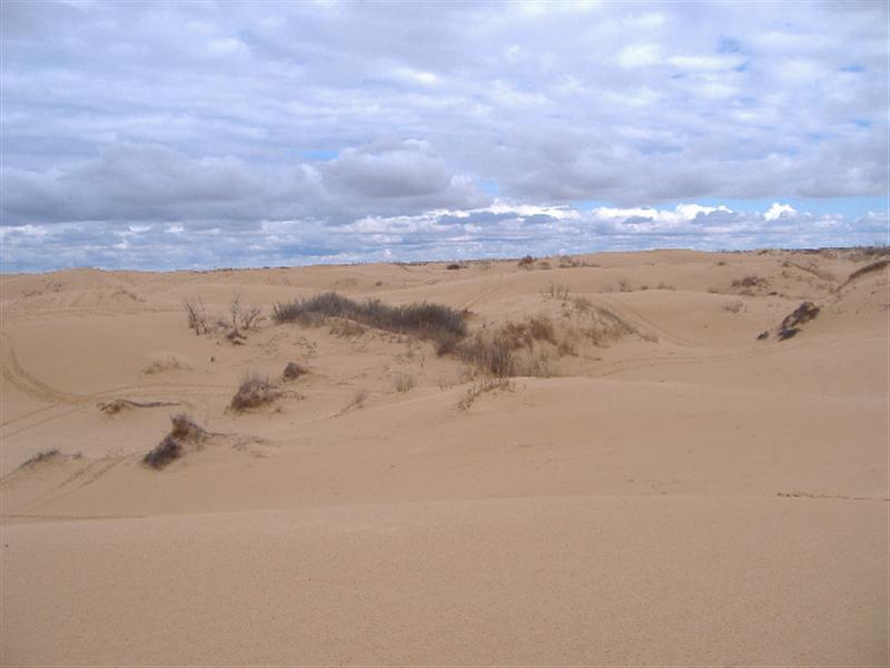 kermit dunes008.JPG