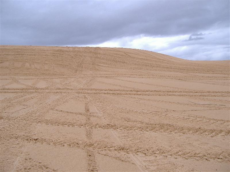 kermit dunes001.JPG